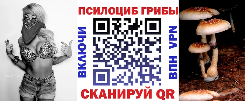 Галлюциногенные грибы Psilocybine cubensis  как найти закладки  MEGA ТОР  Менделеевск 