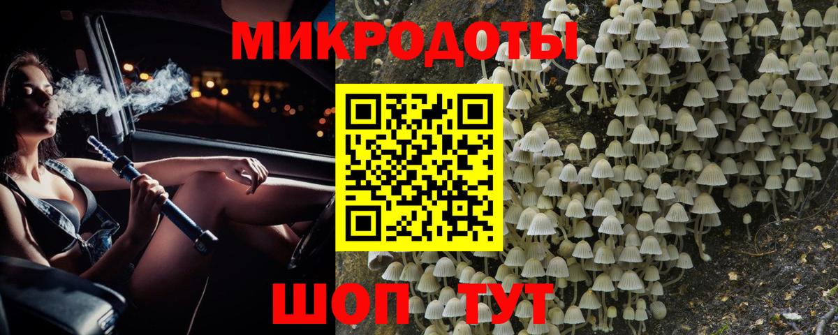Галлюциногенные грибы мухоморы Менделеевск