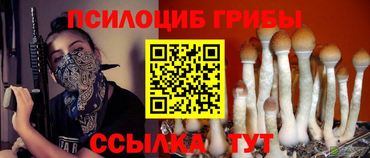 Менделеевск  Галлюциногенные грибы Magic Shrooms  Вход с VPN 
